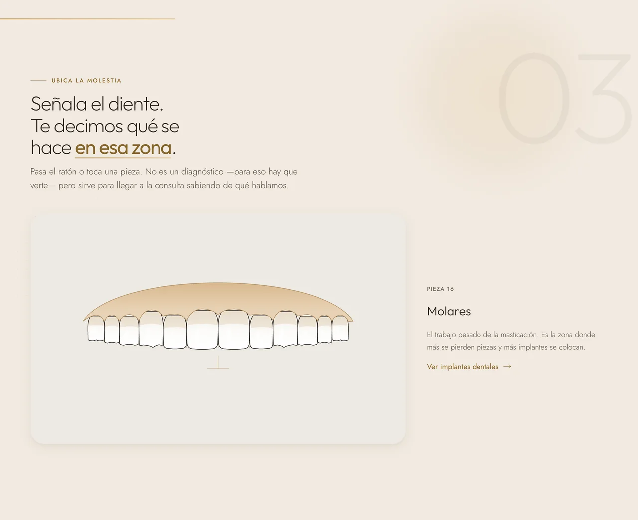 Arcada dental interactiva con la pieza 16 señalada y su ficha al lado